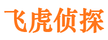 城子河侦探公司